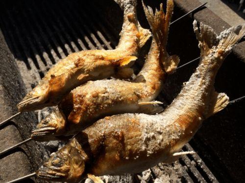 迷你吃鸡射击  第3张