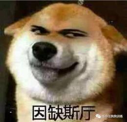 读短信来电报姓名软件 